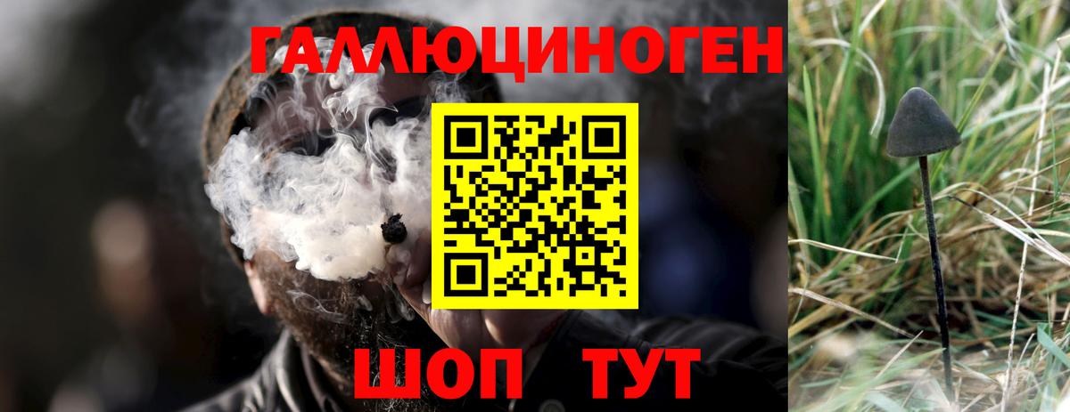 Луга  Галлюциногенные грибы GOLDEN TEACHER  Вход с VPN 